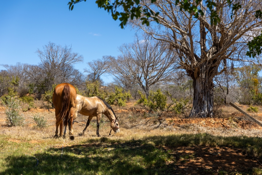 5 Bedroom Property for Sale in Uitenhage Rural Eastern Cape